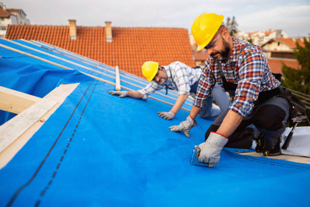 Roof Gutter Cleaning in Denver, PA